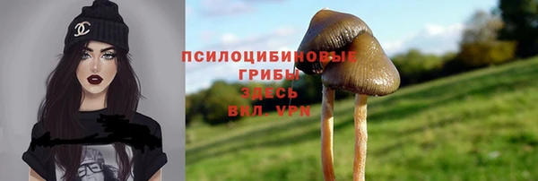 герыч Коряжма
