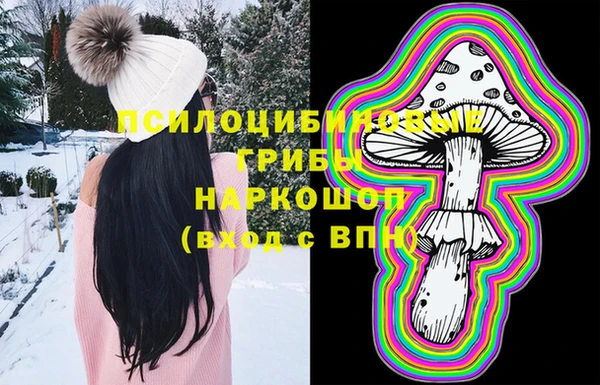 ECSTASY Корсаков