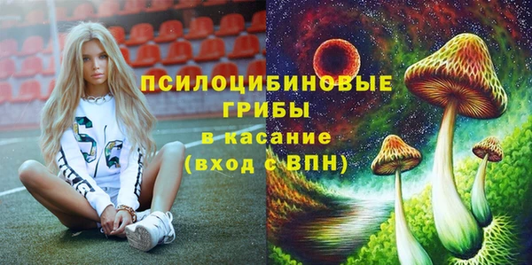ECSTASY Корсаков